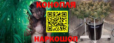 spice Кандалакша